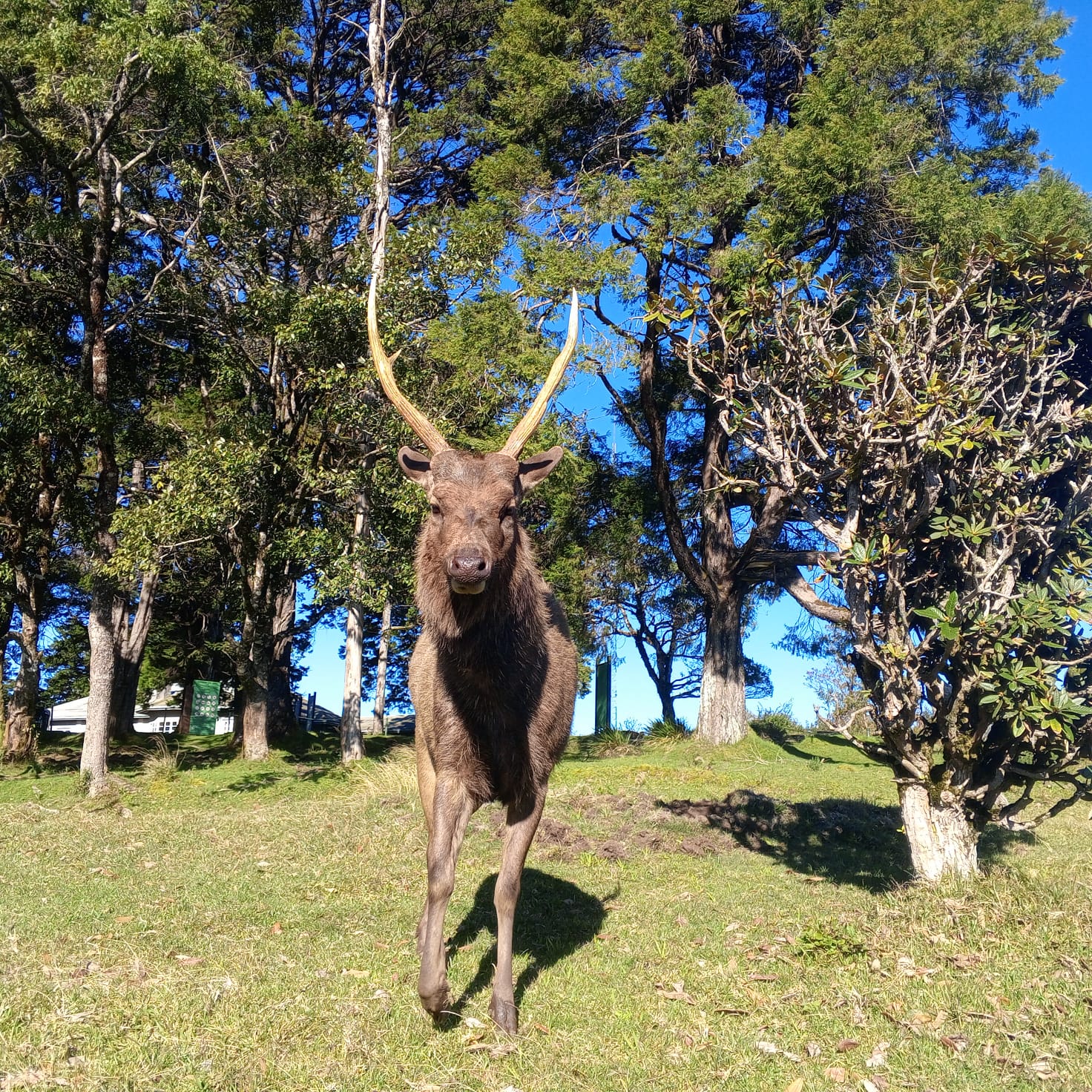 Berlin Tours Gallery